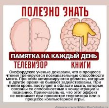 мозг