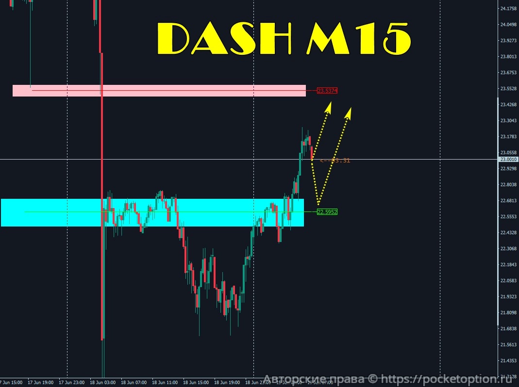 dash_19.06